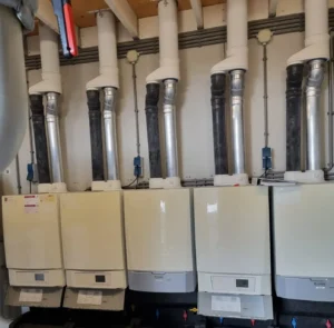 WhatsApp Image 2026 03 29 at 15.47.13